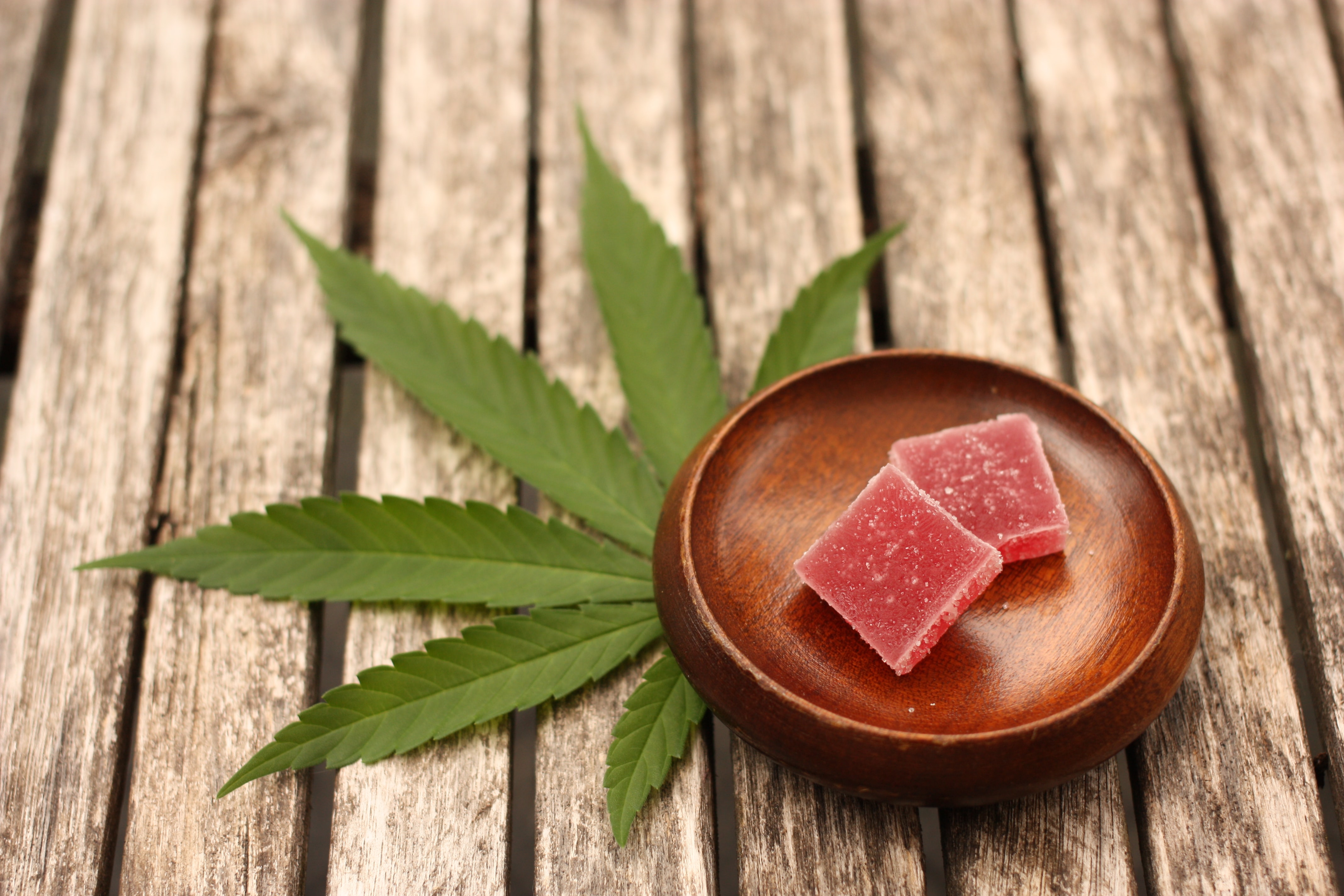cannabis gummies on a plate