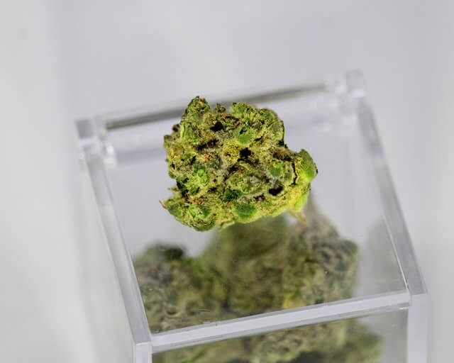 Dried cannabis flower