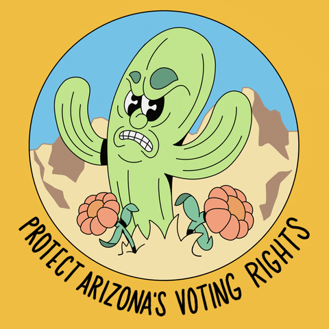 cactus, arizona, voting rights, vrl, early voting, voting rights lab, protect voting rights, savepevl, pevl, evanweselmann, permanent early voter list, arizona voter, save the permanent early voter