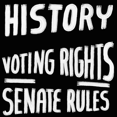 vote, democracy, congress, senate, voting rights, pablo4medina, senators, john lewis, sinema, freedom to vote, protect voting rights, protect the vote, voting rights act, freedom to vote act, protec