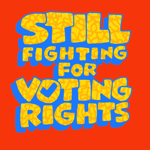 vote, election, freedom, blm, protest, black lives matter, election 2020, racism, register to vote, voting rights, lcv, voter suppression, civil rights, shokka, suppression, black votes matter, lati