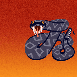 snake, arizona, voting rights, vrl, early voting, voting early, voting rights lab, savepevl, pevl, permanent early voter list, julievangrol, arizona voter, save the permanent early voter list, early