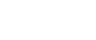 Google Partner logo