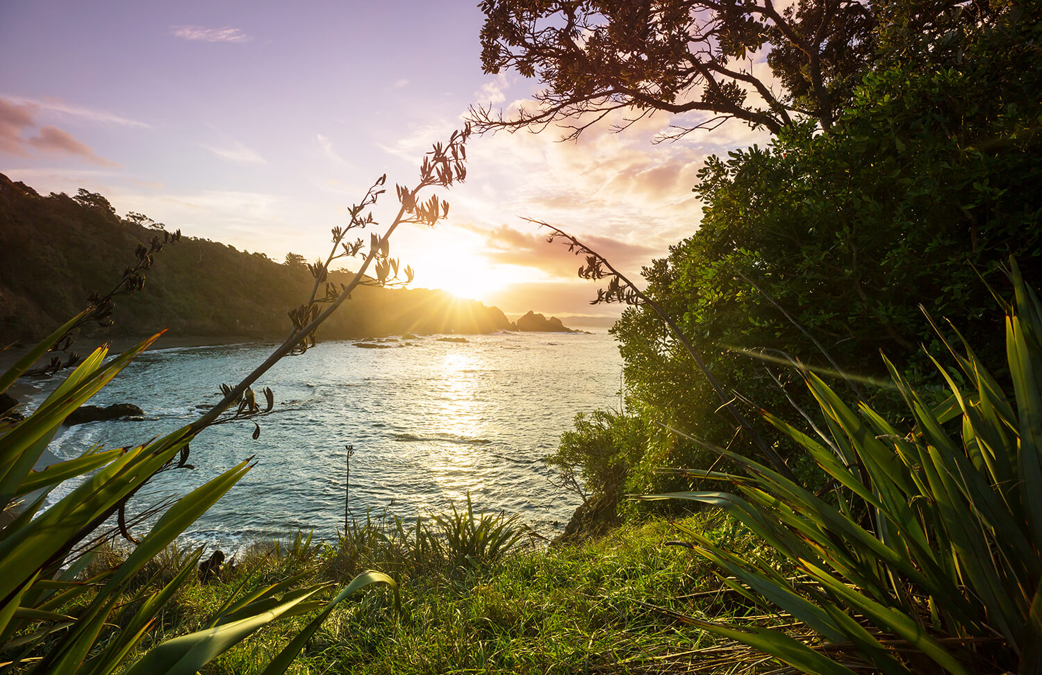 Unrivaled Travel Experiences