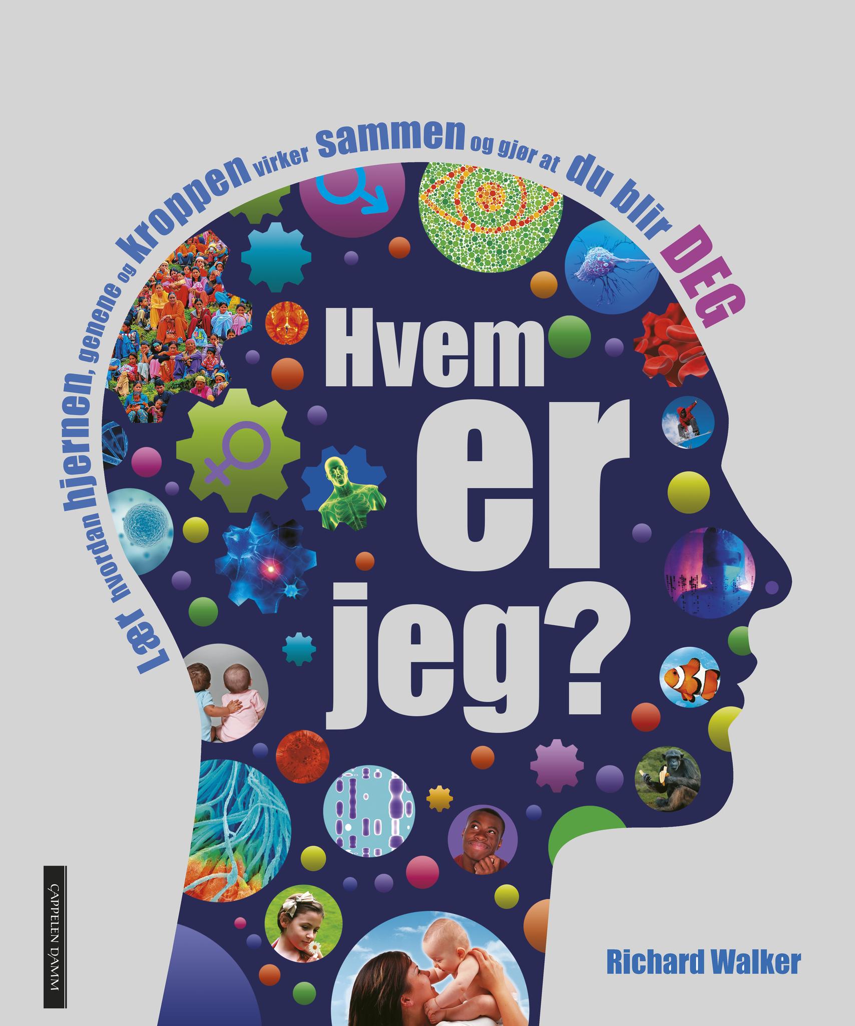 Brain
