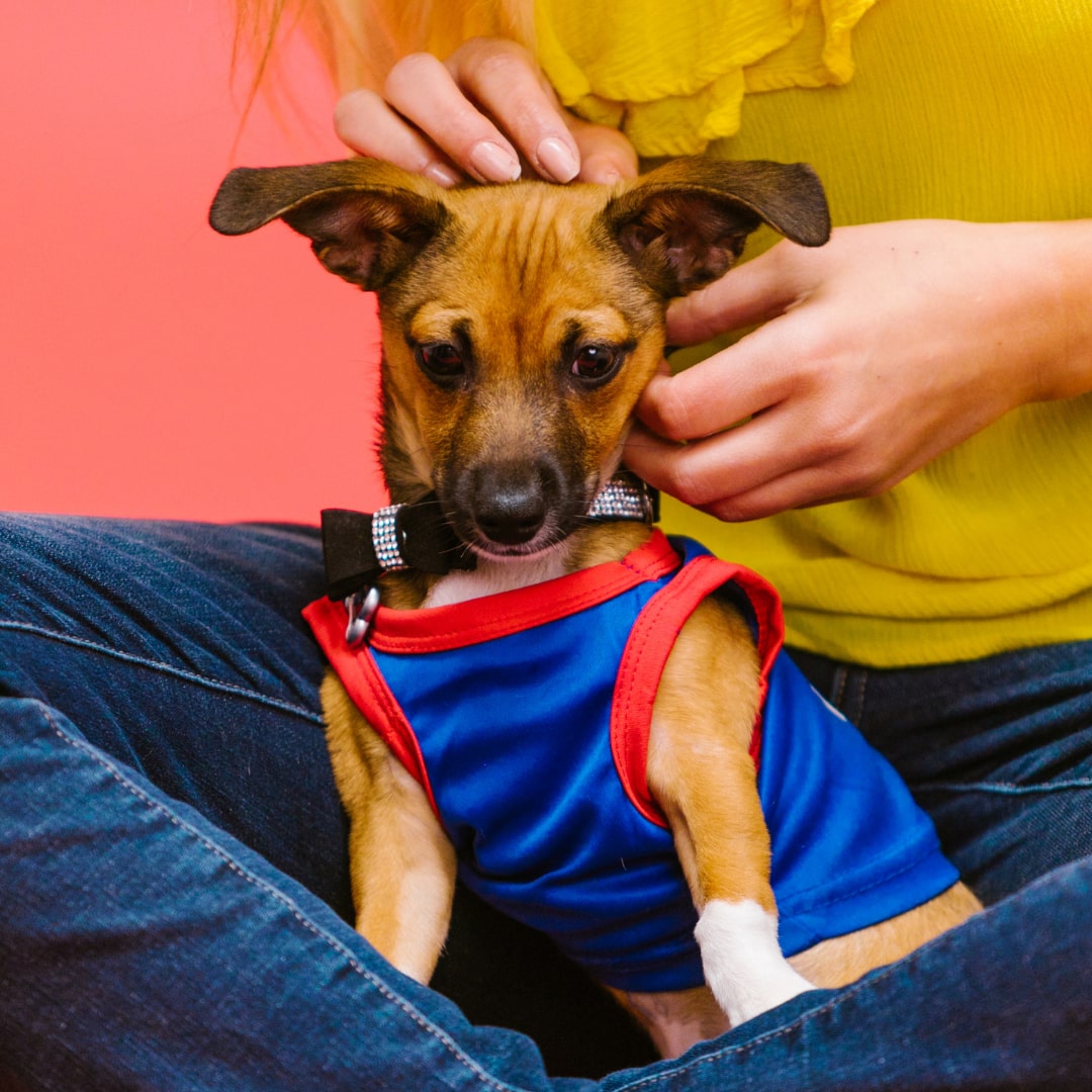 Girlie holding a little dog