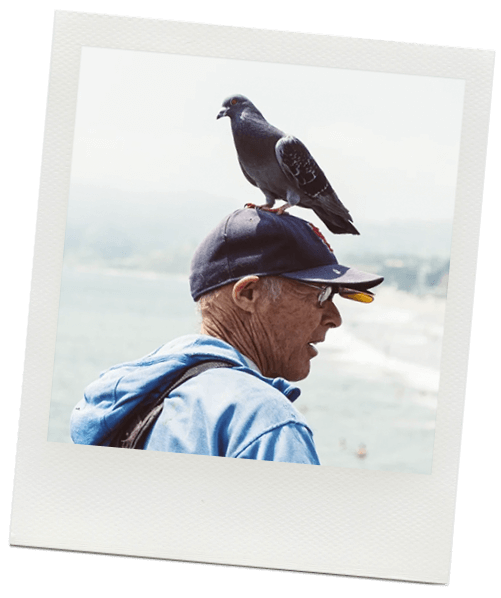 Bare Funerals & Cremations High Quality, Affordable Service