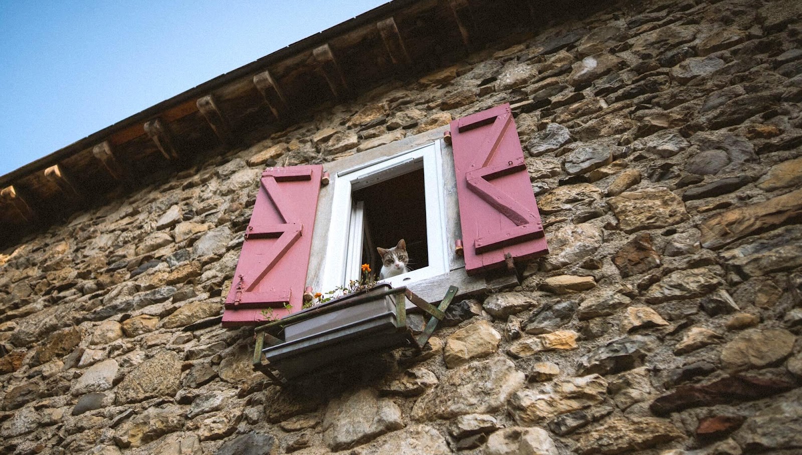Top 4 B2B lead generation tools - Exit intent popups