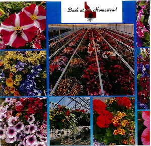 flowersphoto