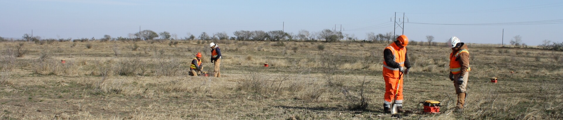 People working in a field