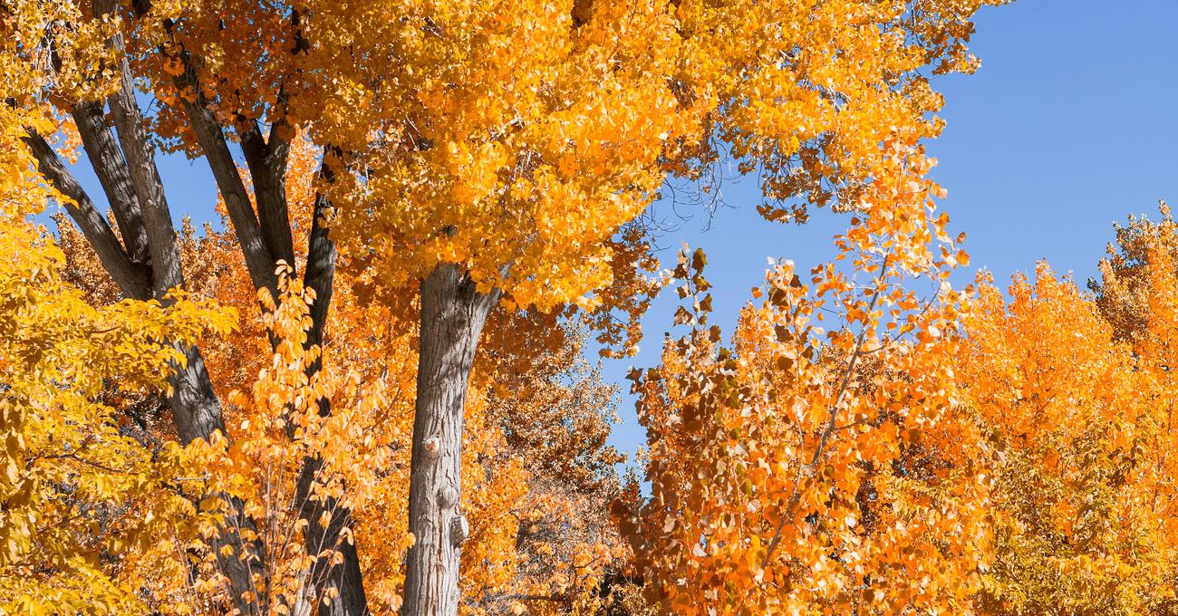 Best Paints For Aluminum Camper RV Rank