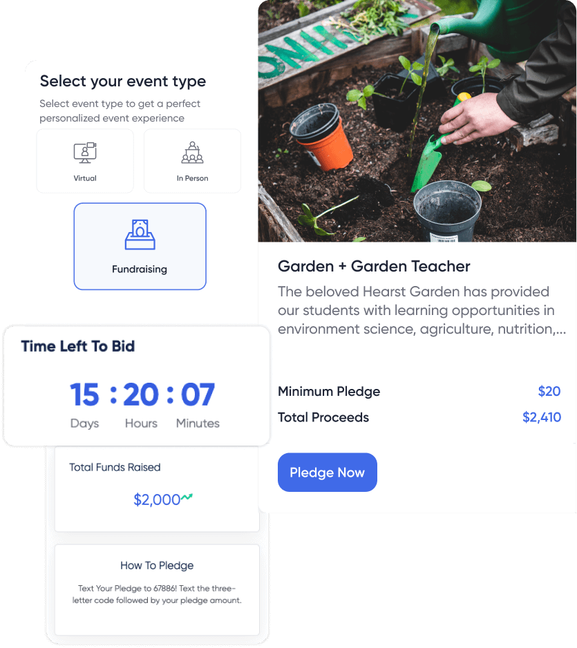 virtual fundraiser