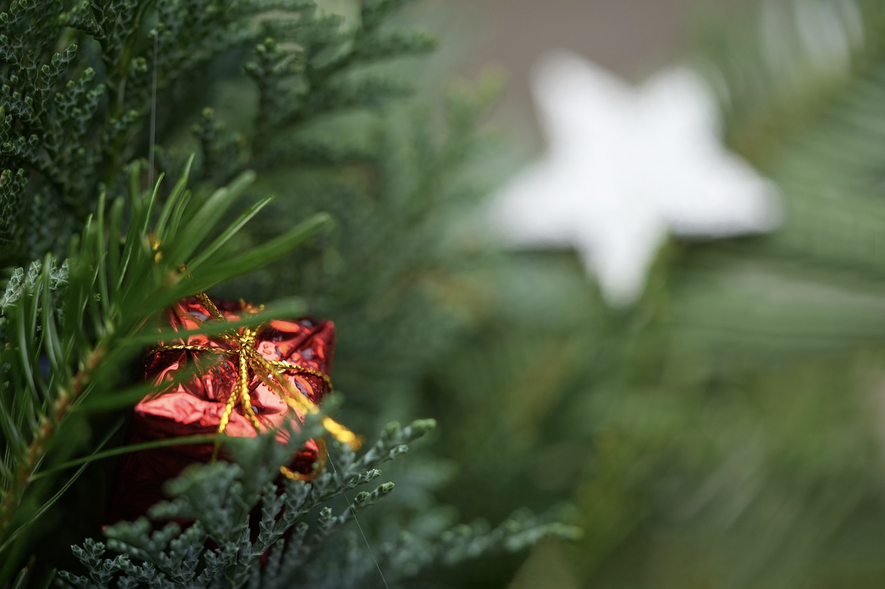 Branche de sapin avec un cadeau et une étoile