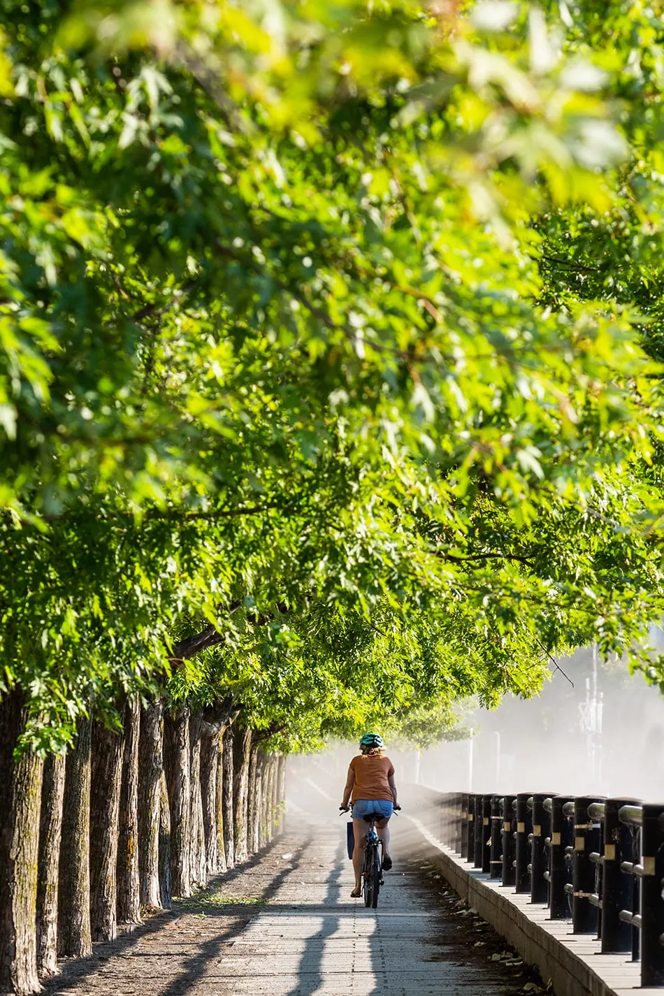 Montréal - femme à vélo au Vieux-Port