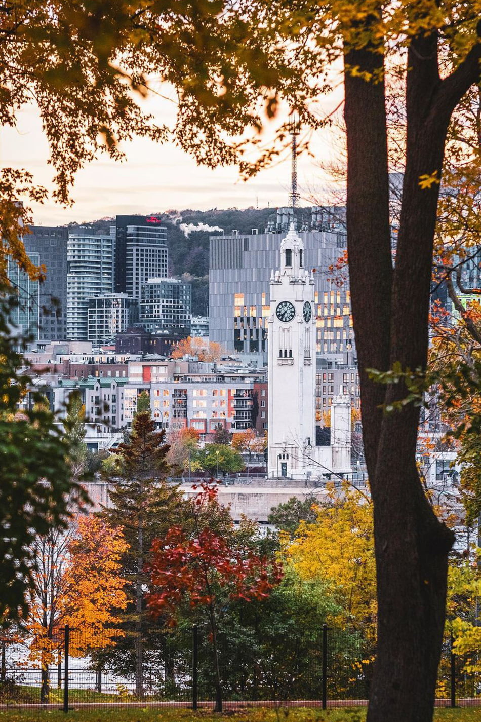 Montréal - vue ville - Tour de l'Horloge - depuis Parc Jean-Drapeau