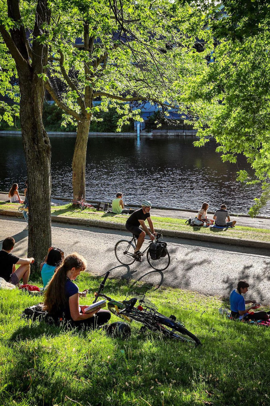 Montréal - détente au parc