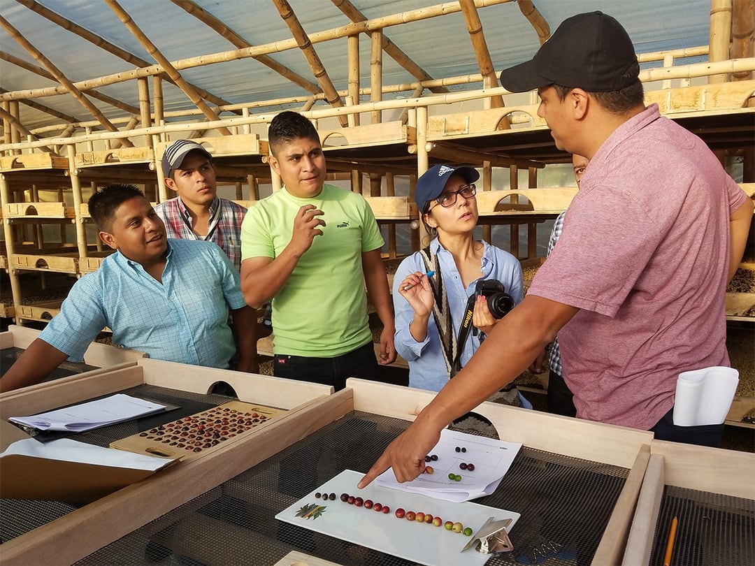 Coffee Quality Institute provides coffee education throughout the