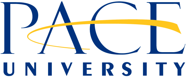 Teaching Computer Science Labs During COVID