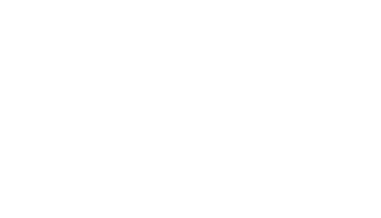 Klaviyo Partners Logo