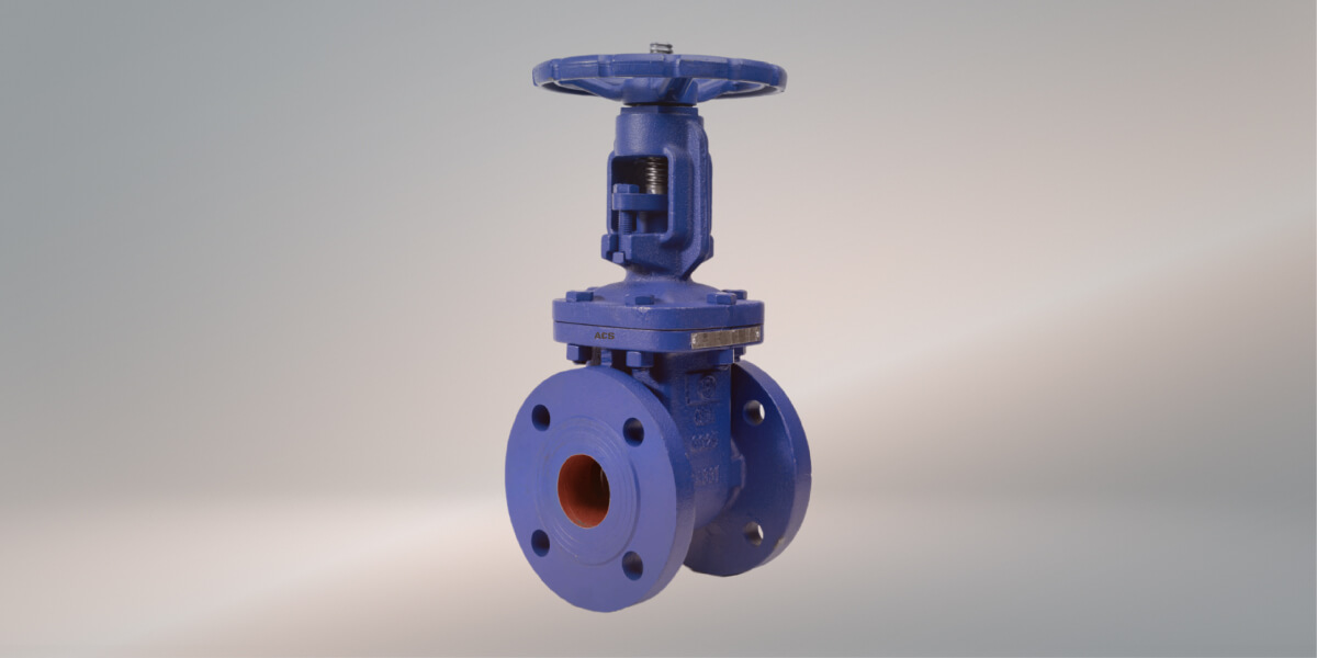 gate valve