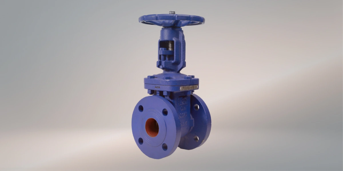 cast iron stainless steel valve