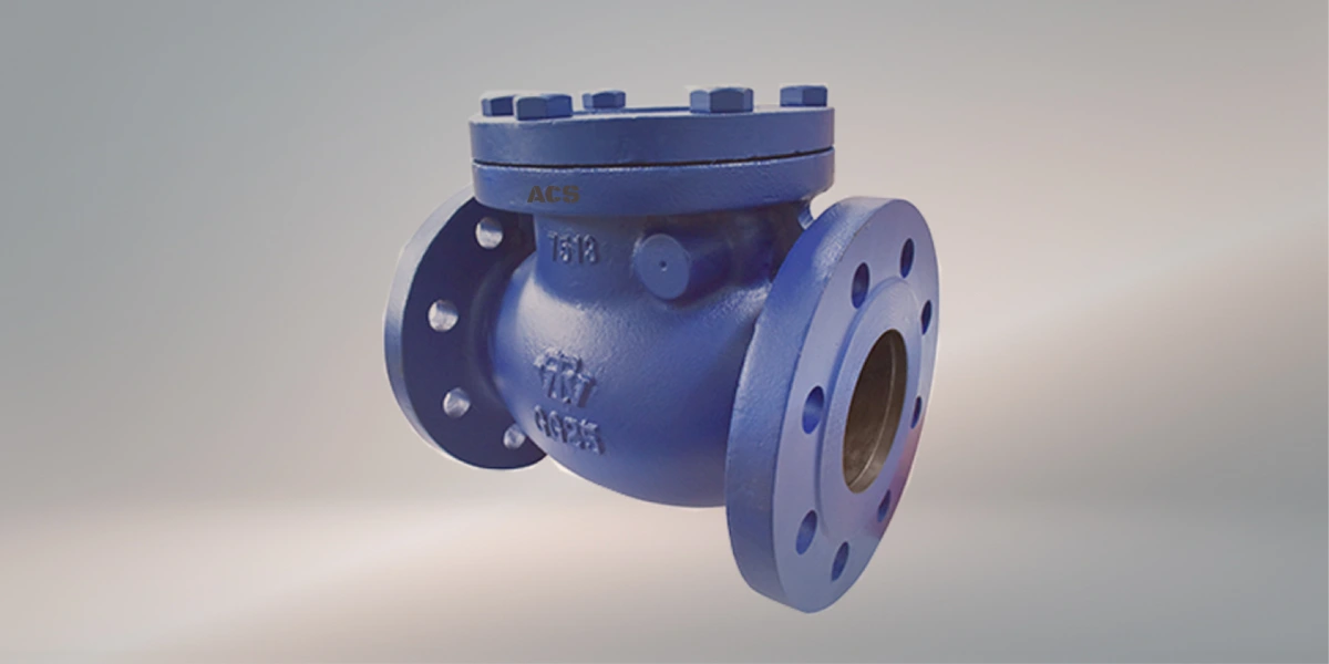 one cast iron heck valve