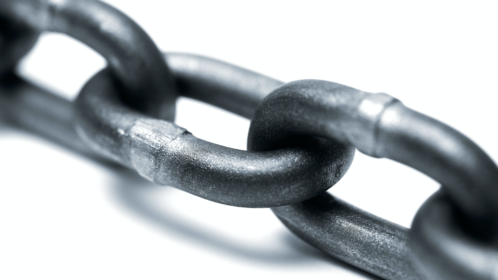 conviction in opportunities business insights roi