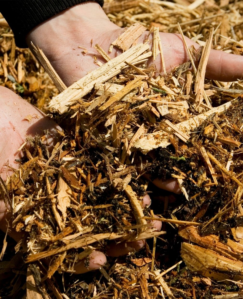 Michigan Mulch Solutions Grand Rapids, Michigan