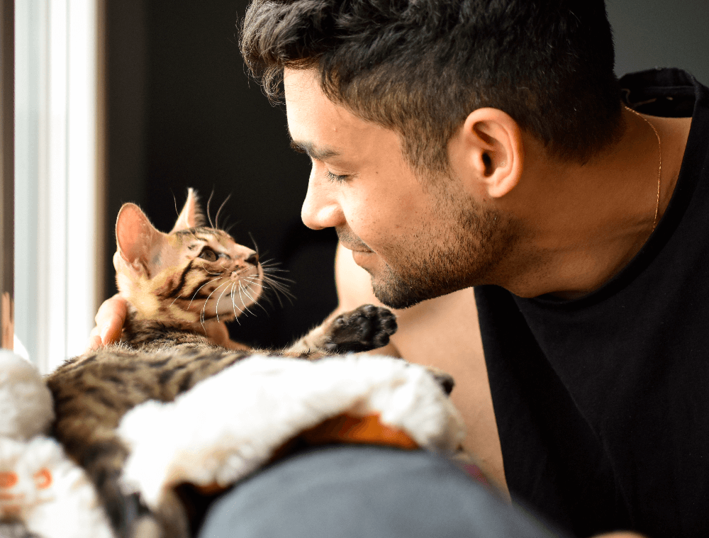 About Brisbane Behaviour Vet Australia