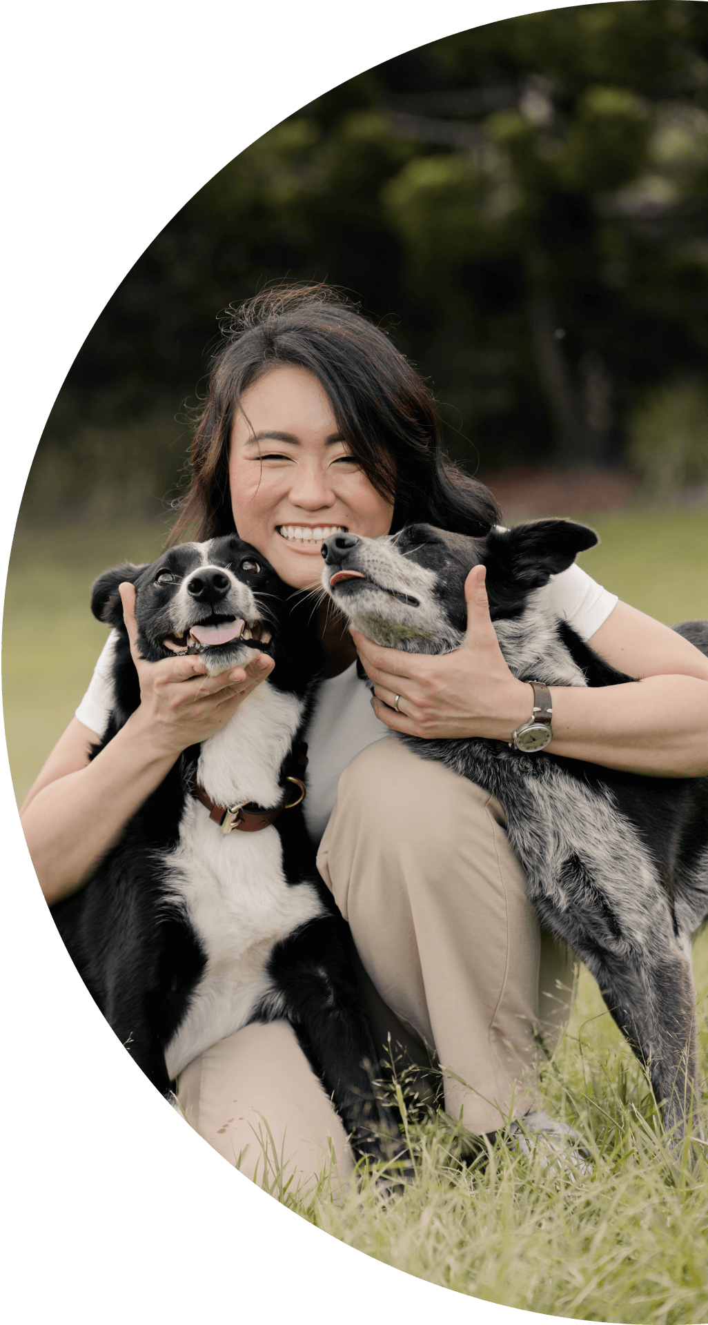 About Brisbane Behaviour Vet Australia
