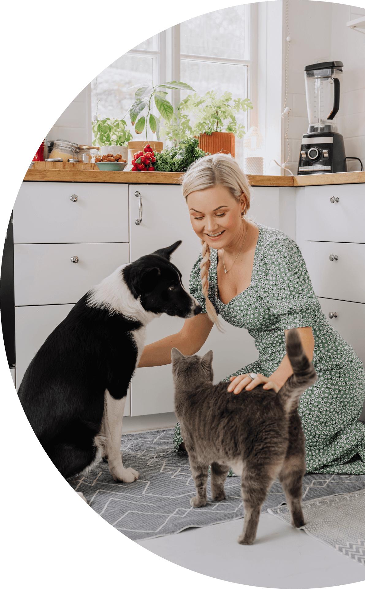 Services Brisbane Behaviour Vet Australia