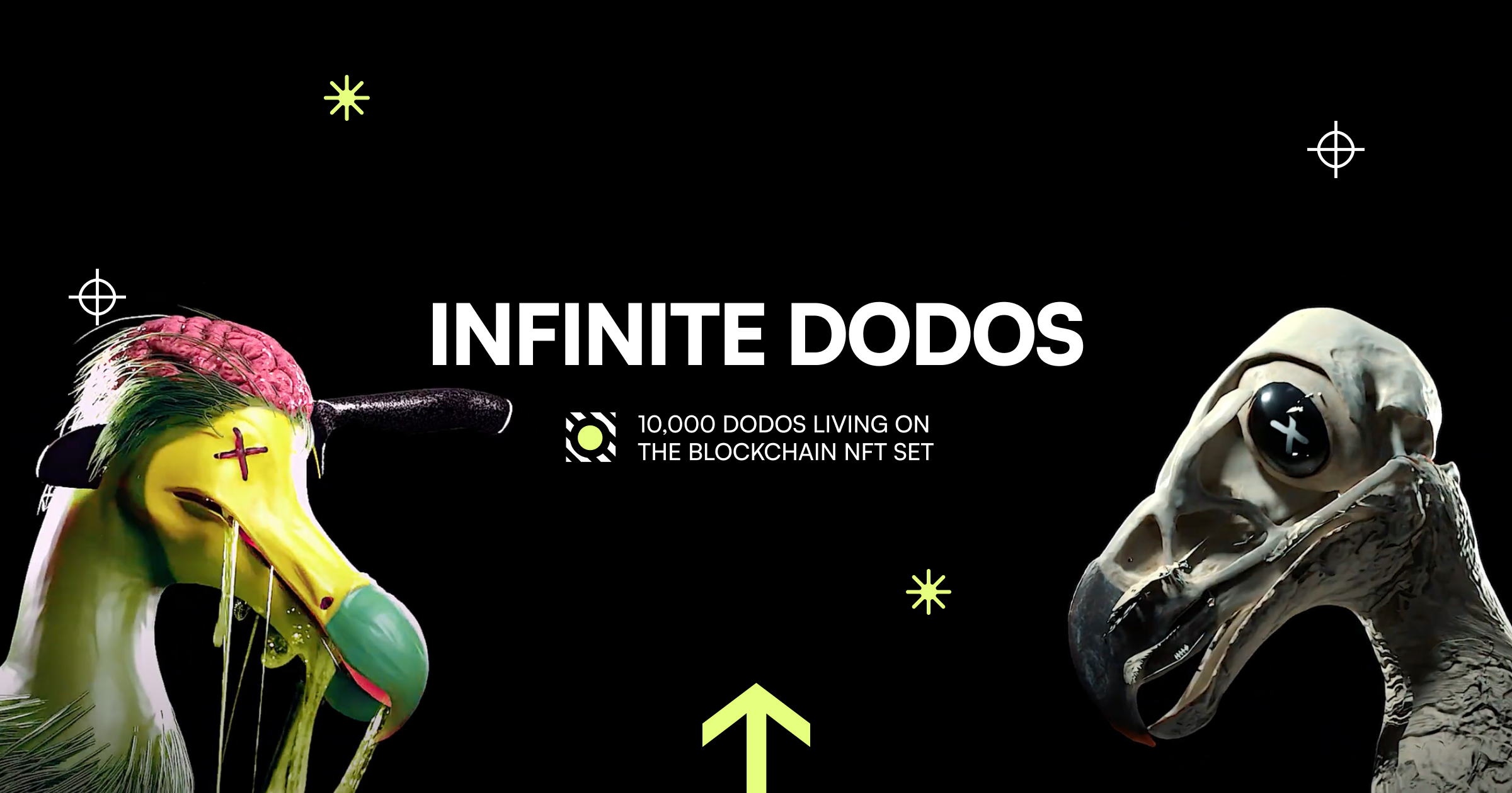 Infinite Dodos