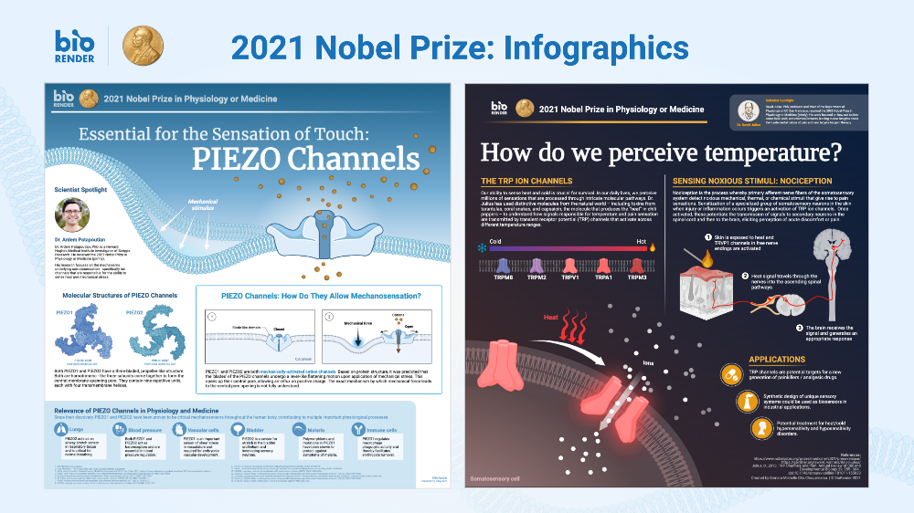 Nobel Prize 2021 in Physiology or Medicineinfographics