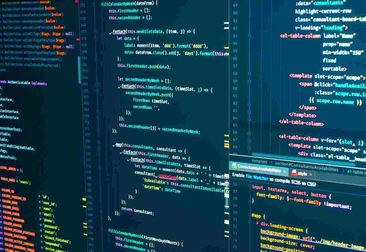 langage de programmation Python et R