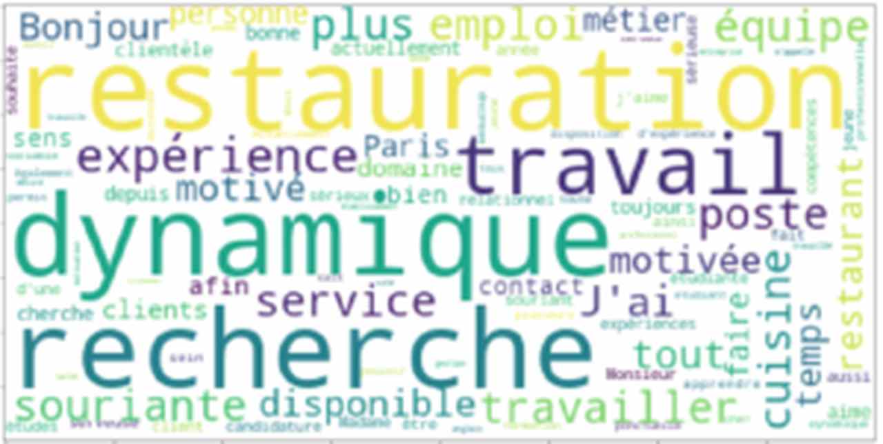 Termes les plus fréquents dans les descriptions des candidats