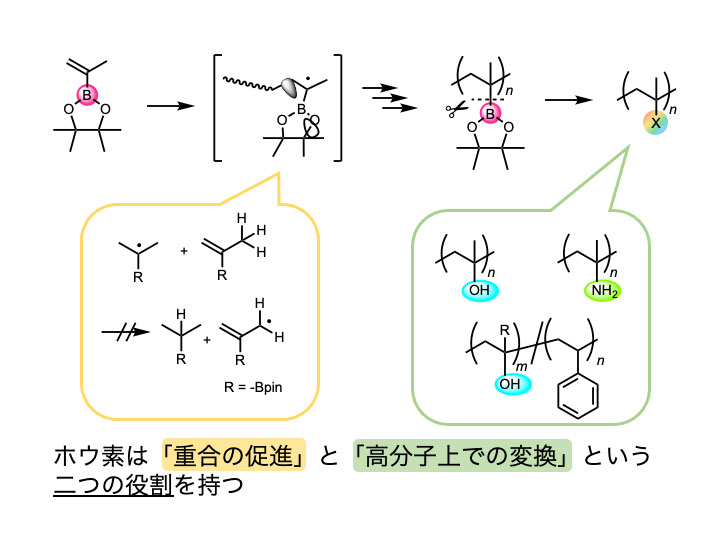 京都大学 桂の庭 京都大学 桂の庭