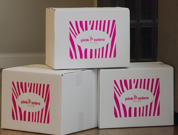 Three Pink Zebra moving boxes stacked on top of each other.