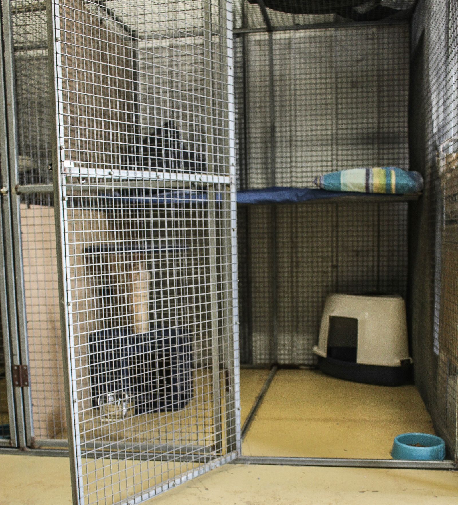 Our Facilities A1 Pet Motel Dog & Cat Pet in Tamworth