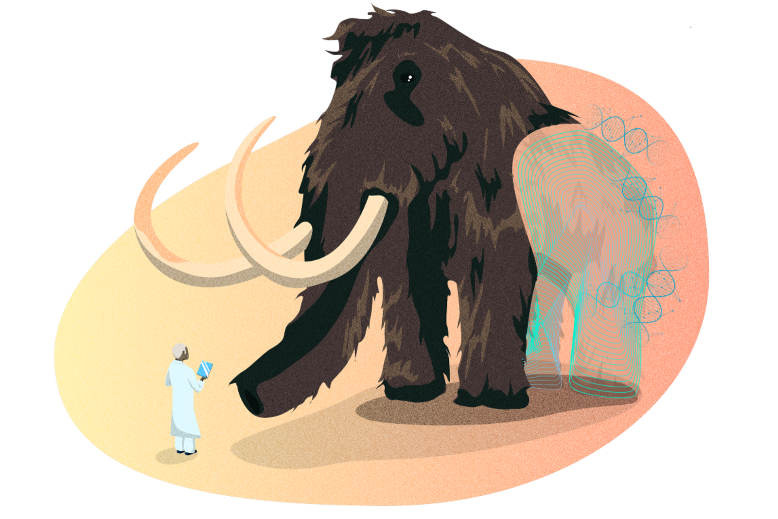 Image may contain Animal Elephant Wildlife Mammal Human Person and Rug