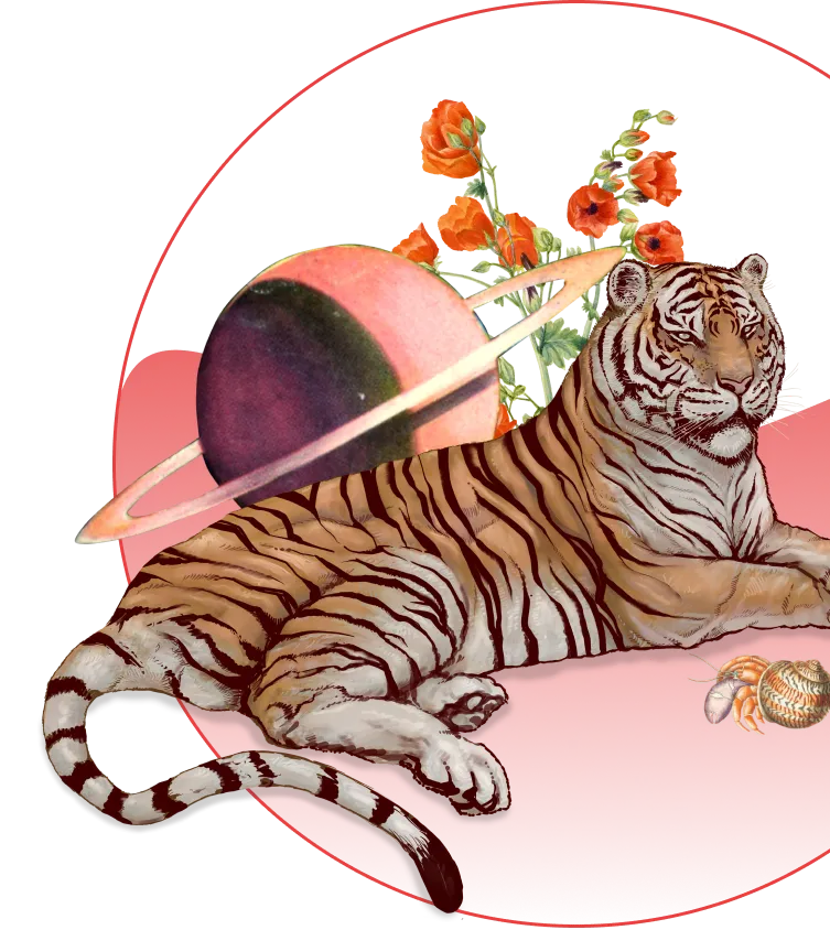 A collage of a tiger laying on the ground with a hermit crab, a bouquet of orange flowers and a planet in the background
