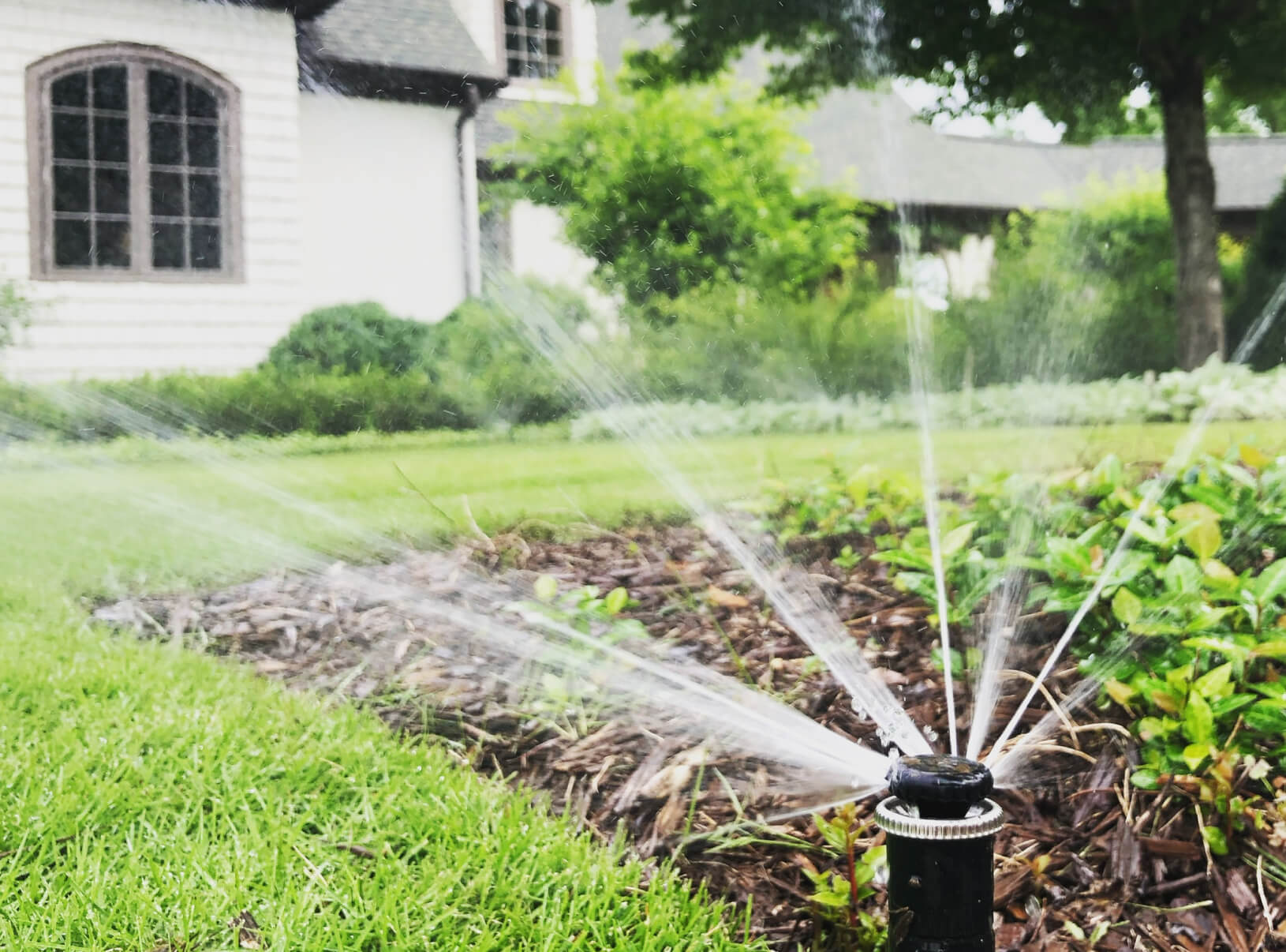 An irrigation head spraying water onto a customer's lawn