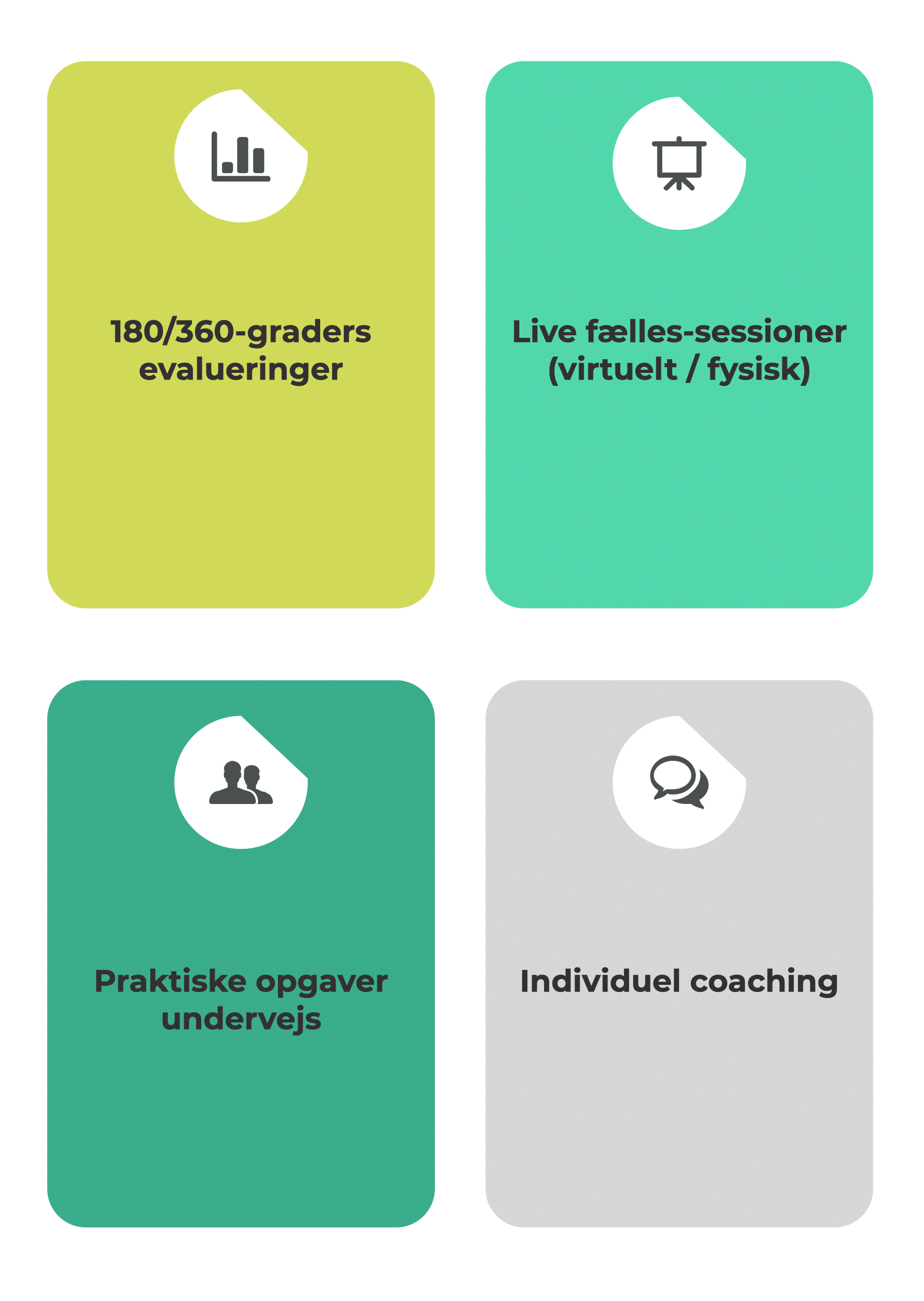 Overblik over de 4 elementer som udgør Feedback Masterclass