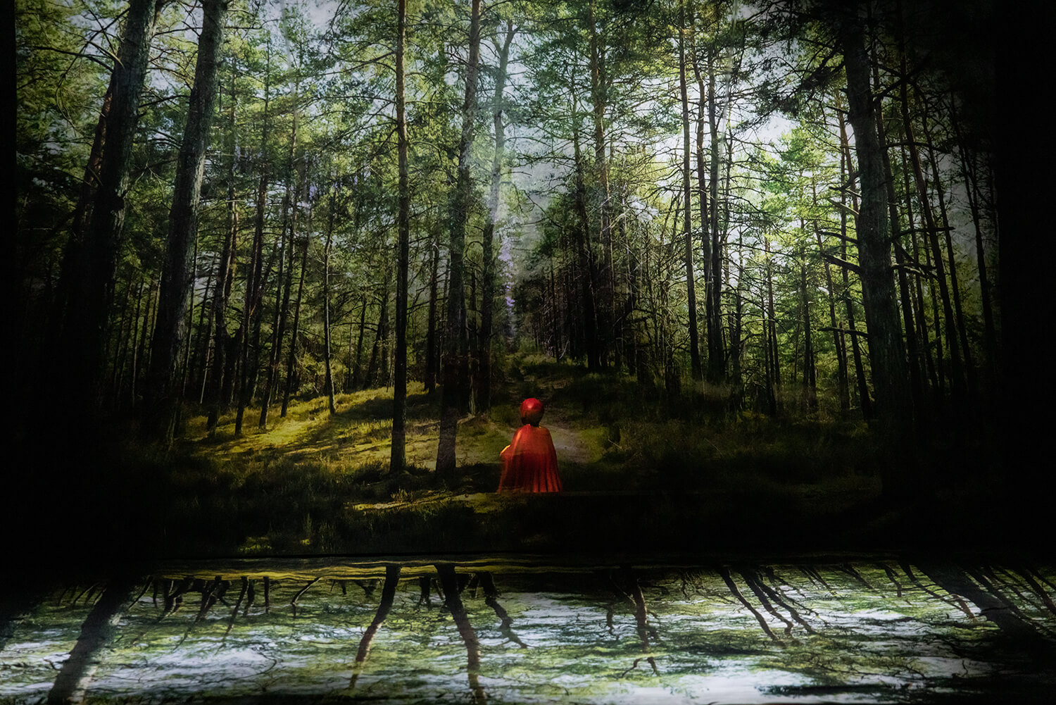 Le petit chaperon rouge