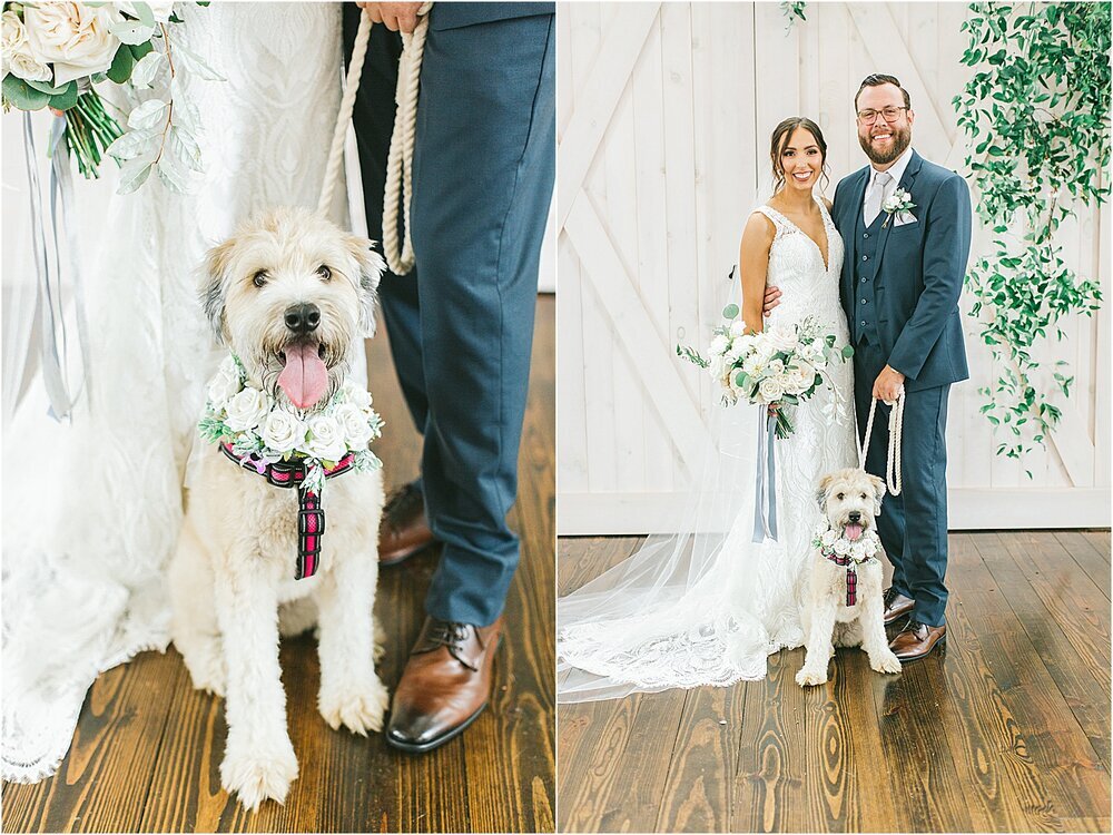 BrideAndGroom-WeddingDog-FlowerDogCollar-ErikaLynnPhotography.jpg