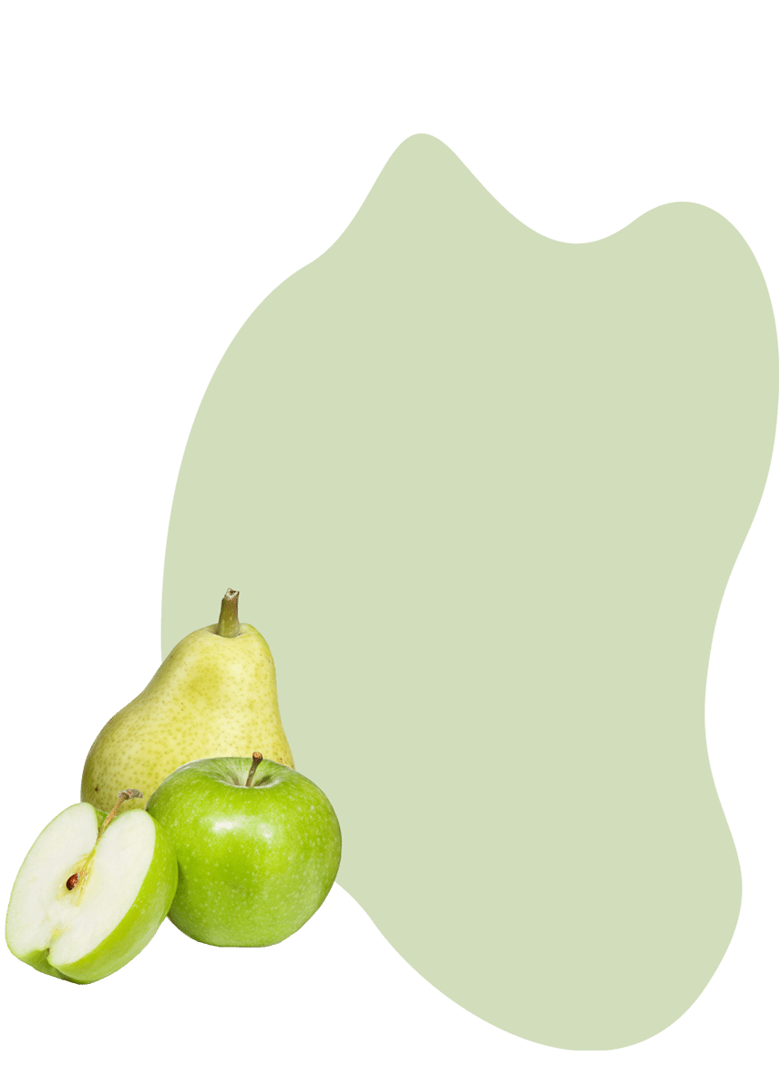 A whole pear, a whole apple and a half apple on a light green blob