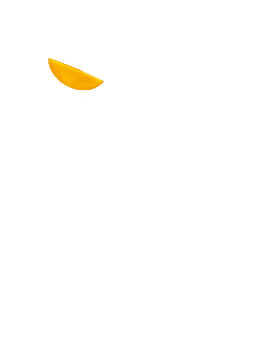A medium-sized floating mango slice