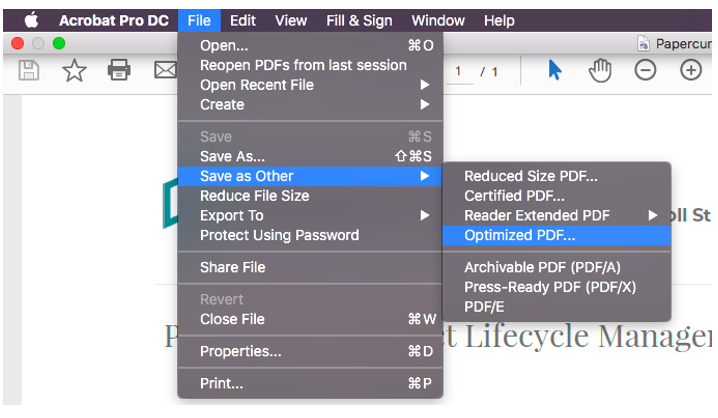 Quicker Loading Time for PDFs