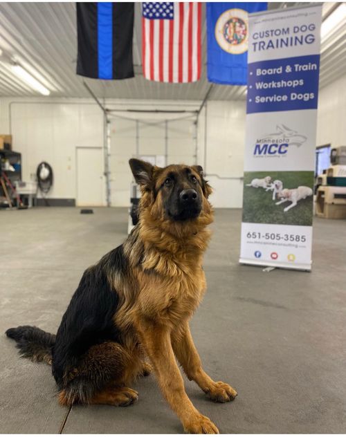 Minnesota Canine Consulting