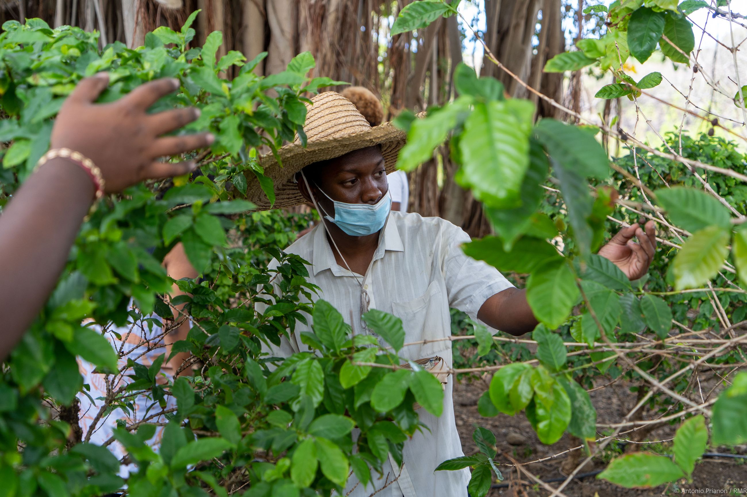 Réinventer le Patrimoine – Domaine de Maison Rouge