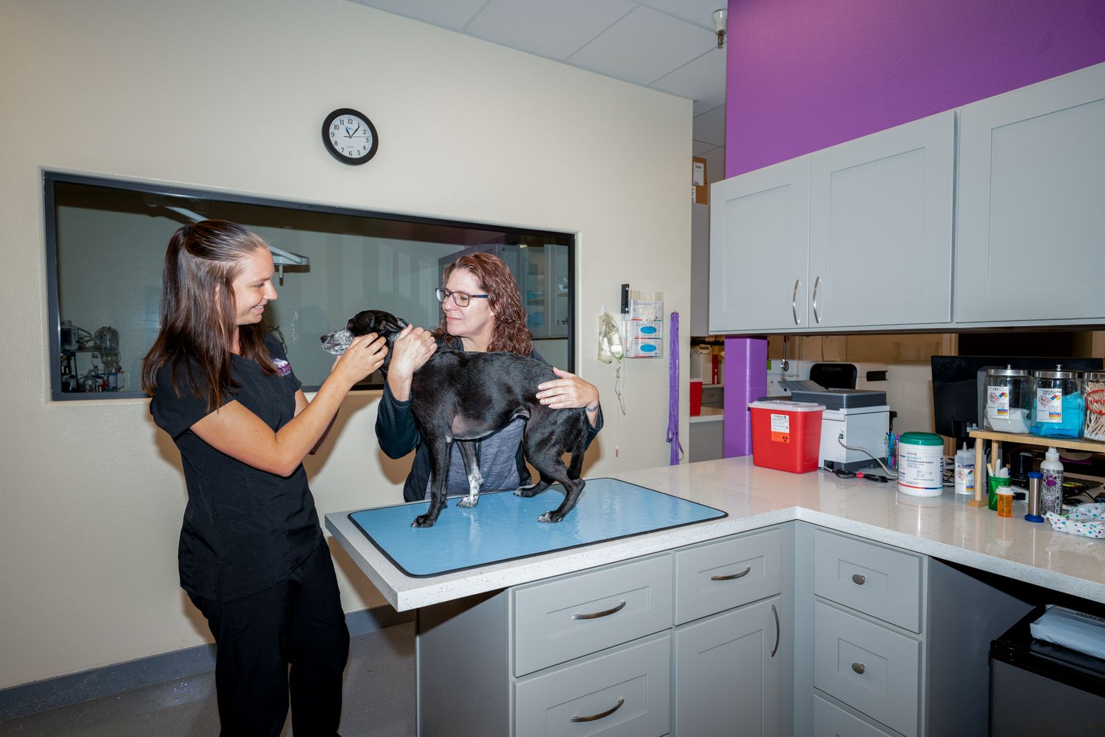 NonAnesthetic Dental Cleanings